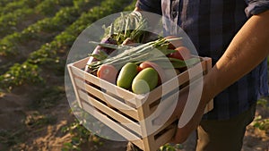 The farmer holds in his hands, the basket full of biological vegetables.