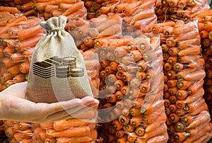 A farmer holds a money bag on the background of freshly picked carrots in bags. Agricultural startups. Lending and subsidizing