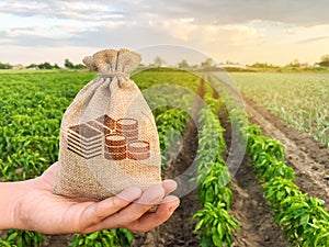 The farmer holds a money bag on the background of plantations. Lending and subsidizing farmers. Grants and support. Profit from