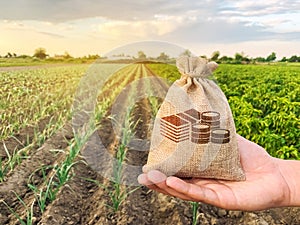 The farmer holds a money bag on the background of plantations. Lending and subsidizing farmers. Grants and support. Profit from photo