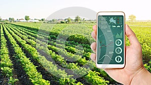 The farmer holds a phone and receives information parameters and data from agricultural field. Advanced technologies
