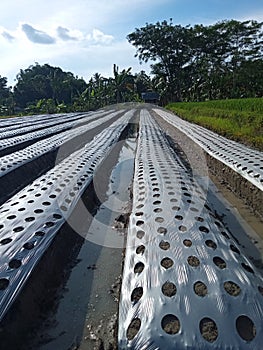 Farmer holes to growth vegetables