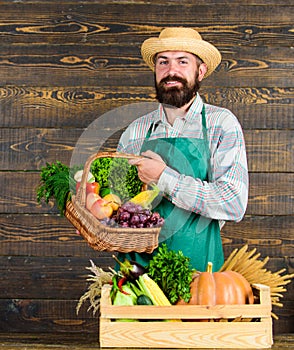 Farmer with homegrown vegetables. Fresh organic vegetables in wicker basket and wooden box. Man cheerful bearded farmer