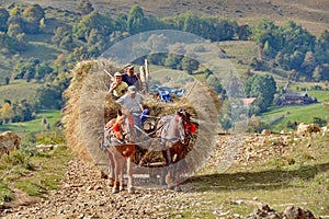 Farmer with horse and carriage hay in Romania