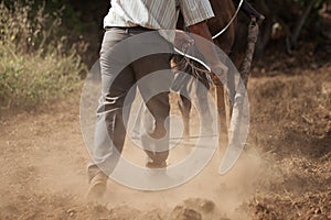 Farmer and horse plowing farmer field