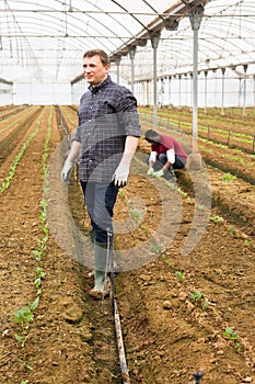 Farmer in hothouse