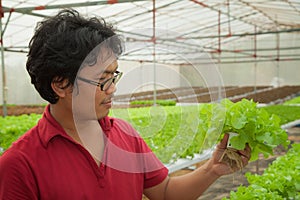 Farmer in hydroponic aquaculture