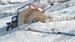 Farmer of the Italian Alps to the barn