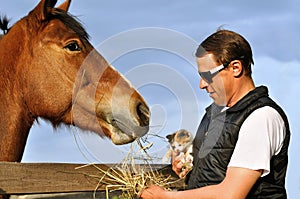 Farmer and kitten feed horse