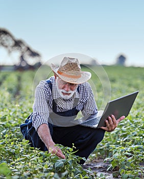 Farmer with laptop in field