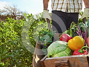 Farmer on local sustainable organic farm