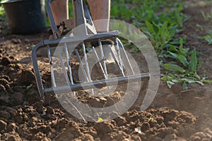 A farmer loosens the soil with a hand cultivator. Russia, a miracle shovel a device for digging up a garden