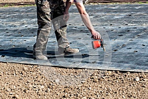 Farmer making holes in mulching cloth