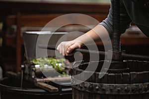 Farmer making white vine from white grpapes