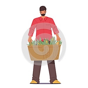 Farmer Male Character Proudly Holds A Rustic Basket Overflowing With Freshly Harvested Golden Corn Cobs, Vector