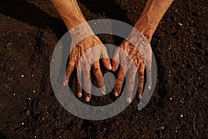 Farmer man hands dirty on substratum