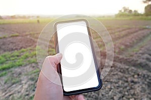 Farmer, The man holding smart phone in the farm with blank copy space screen for your text message or information content. Smart p