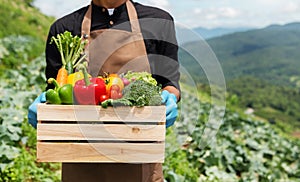 Farmer man holding wooden box full of fresh raw vegetables. Basket with fresh organic vegetable  and peppers in the hands