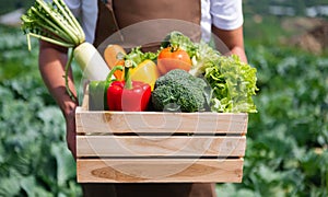 Farmer man holding wooden box full of fresh raw vegetables. Basket with fresh organic vegetable and peppers in the hands