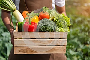 Farmer man holding wooden box full of fresh raw vegetables. Basket with fresh organic vegetable  and peppers in the hands