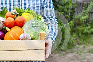 Farmer man holding wooden box full of fresh raw vegetables in his hands. Basket with vegetable in the hands