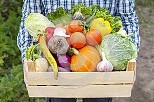 Farmer man holding wooden box full of fresh raw vegetables in his hands. Basket with vegetable in the hands