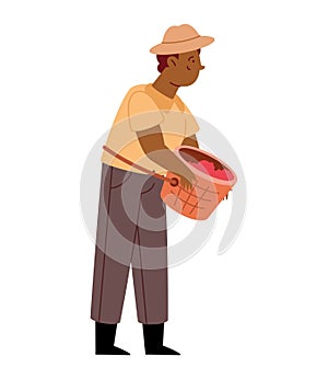 farmer man picking coffee in basket