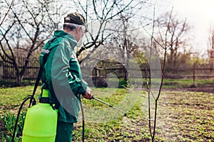 Farmer man spraying tree with manual pesticide sprayer against insects in spring garden. Agriculture and gardening