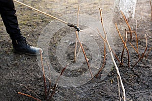 Farmer man spraying tree with manual pesticide sprayer against insects in spring garden. Agriculture and gardening An