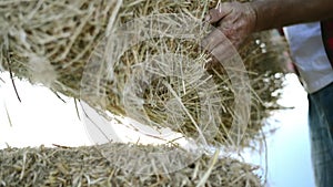 Farmer man with straw bales