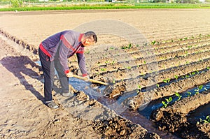 The farmer manages the irrigation of the plantation field with a shovel. Irrigation system, shut-off and flow redirection. Care