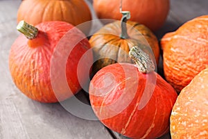 Farmer market, thanksgiven harvest of orange pumpkins.