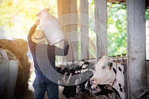 Farmer with milk jug with the cows