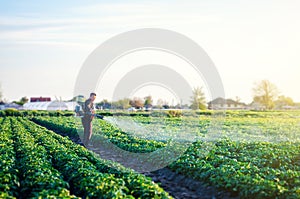 Farmer with a mist sprayer blower processes the potato plantation. Protection and care. Environmental damage and chemical