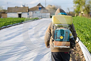 A farmer with a mist sprayer on his back walks through the farm field. Protection of cultivated plants from insects and fungal