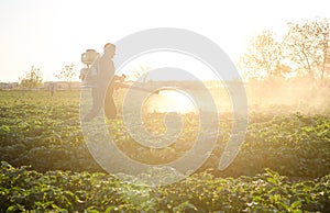 Farmer with a mist sprayer on a morning plantation. Protection and care. Use of industrial chemicals to protect crops from insects