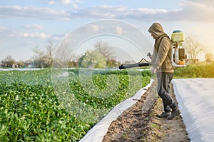 A farmer with a mist sprayer sprays fungicide and pesticide on potato bushes. Protection of cultivated plants from insects photo