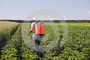 A farmer with a mist sprayer treats the potato plantation from pests and fungus infection. Use chemicals in agriculture