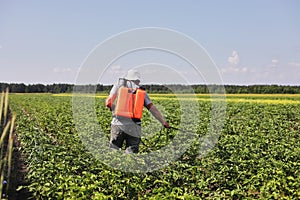 A farmer with a mist sprayer treats the potato plantation from pests and fungus infection. Use chemicals in agriculture