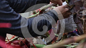 Farmer mixing  pollen of Salacca zalacca