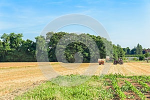 Farmer moving bales of hay with tractor.