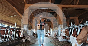 Farmer in orange vest using tablet computer in modern dairy farm facility cowshed. Agribusiness owner checking data hold