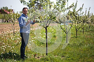 Farmer in the orchard