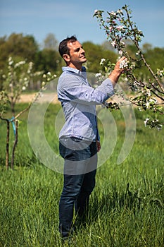 Farmer in the orchard