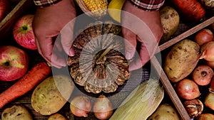 Farmer with organic fruit and vegetable in Autumn season on wood background. Fall harvest cornucopia agriculture.