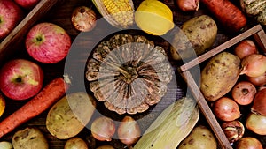 Farmer with organic fruit and vegetable in Autumn season on wood background. Fall harvest. Thanksgiving day