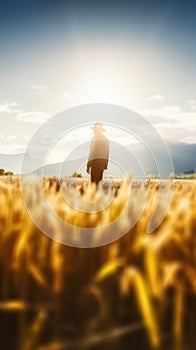 farmer person in the wheat field, backlight scene