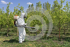 Farmer in Personal Protective Equipment Spraying Fruit Orchard With Backpack Atomizer Sprayer