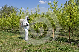 Man in Coveralls With Gas Mask Spraying Orchard in Springtime. Farmer in Personal Protective Equipment Spraying Orchard. photo