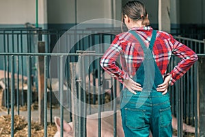 Farmer on pig raising and breeding farm